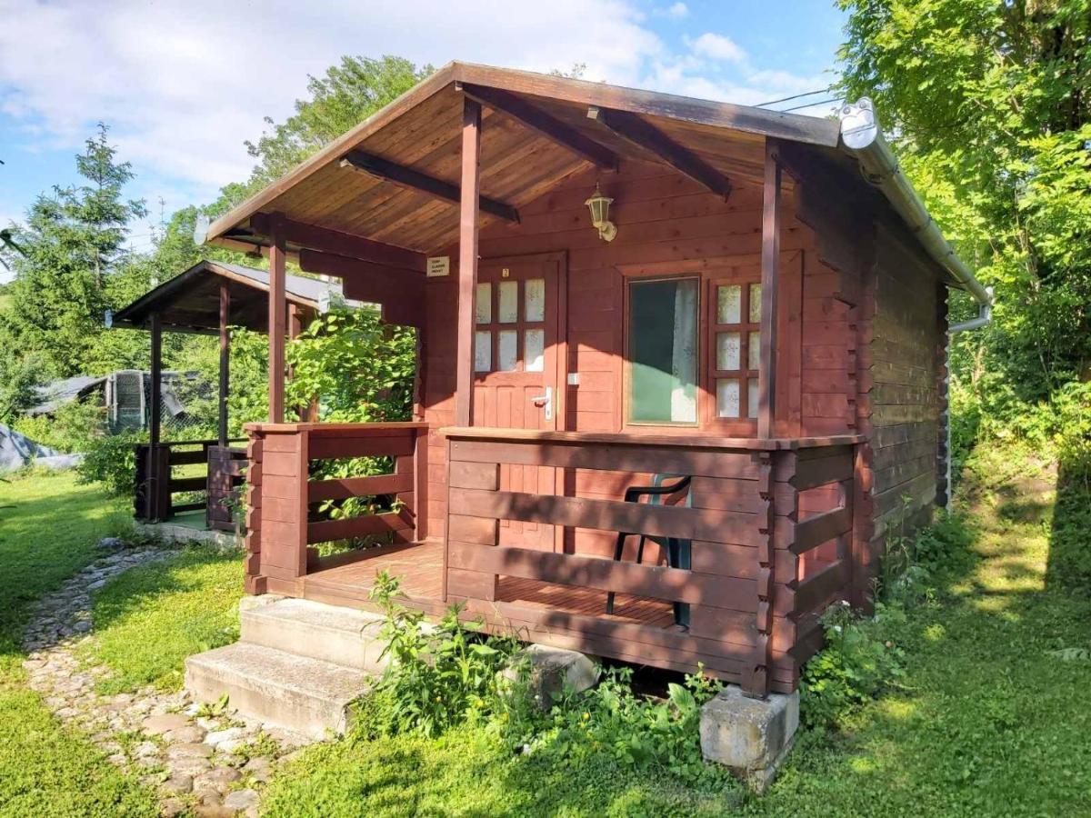 Bungalow Camping Edelweiss - Floare De Colt - Gyopar Rimetea Exterior foto