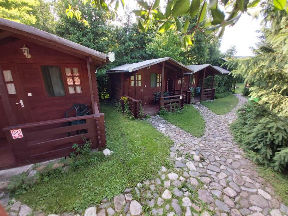 Bungalow Camping Edelweiss - Floare De Colt - Gyopar Rimetea Exterior foto