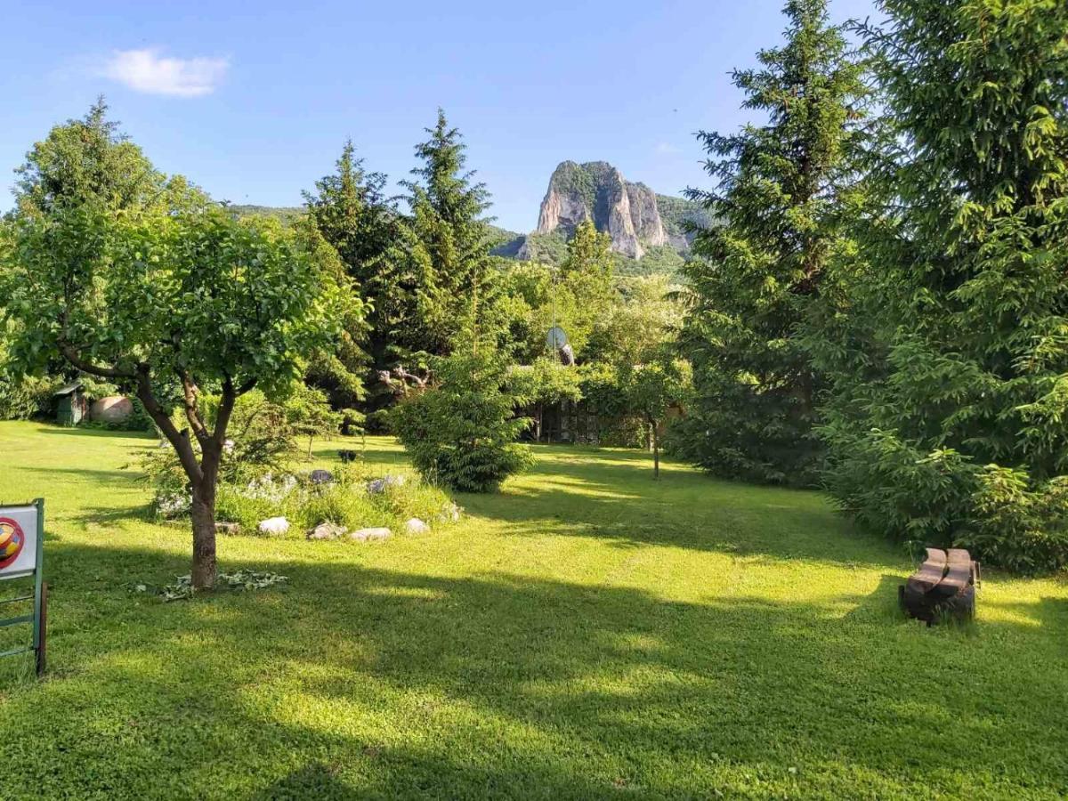 Bungalow Camping Edelweiss - Floare De Colt - Gyopar Rimetea Exterior foto