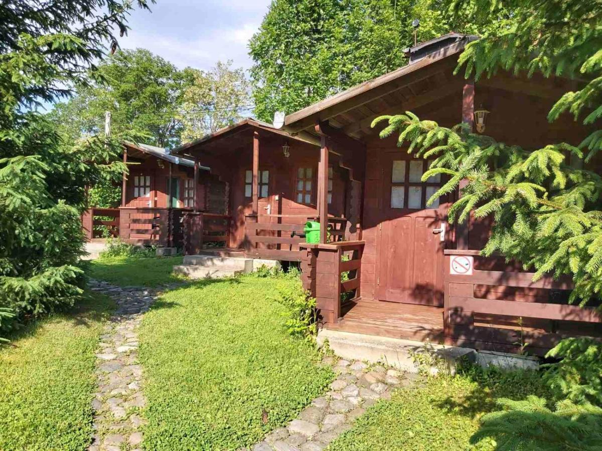 Bungalow Camping Edelweiss - Floare De Colt - Gyopar Rimetea Exterior foto