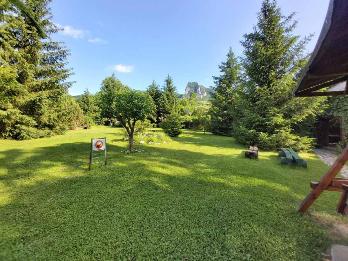 Bungalow Camping Edelweiss - Floare De Colt - Gyopar Rimetea Exterior foto