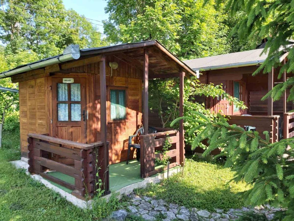 Bungalow Camping Edelweiss - Floare De Colt - Gyopar Rimetea Exterior foto